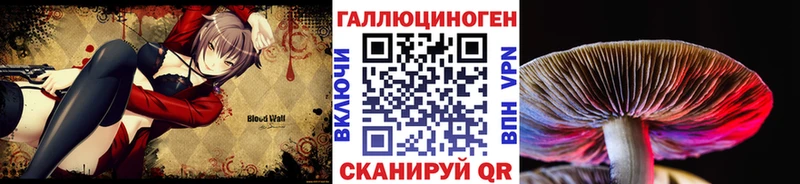 сколько стоит  Вичуга  Галлюциногенные грибы Magic Shrooms 