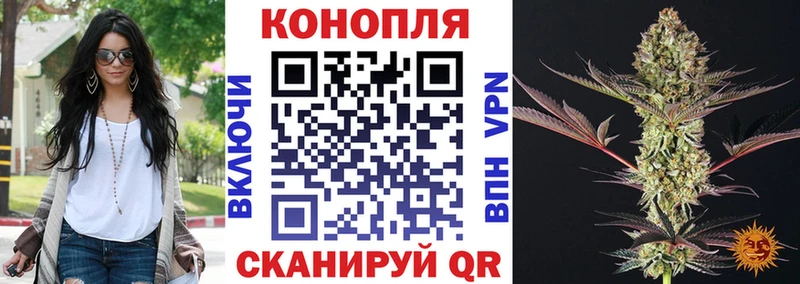 MEGA маркетплейс  Вичуга  Марихуана тримм  закладка 